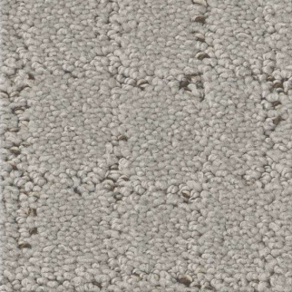 Shaw Floors Block Party Gravity SHAW