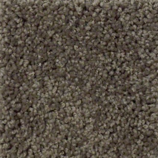 Tuftex Serendipity I Worn Pewter SHAW