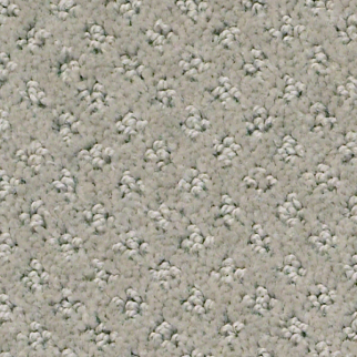 Shaw Floors Infallible Instinct Silhouette SHAW