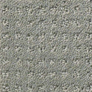 Shaw Floors Perpetual Move Slate SHAW