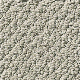 Shaw Floors Smart Thinking Slate SHAW