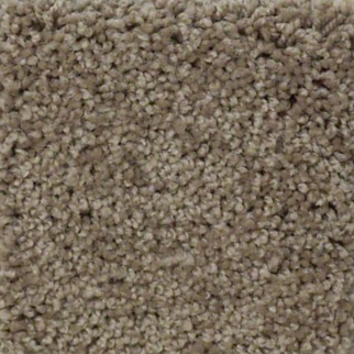 Tuftex Serendipity I Simply Taupe SHAW