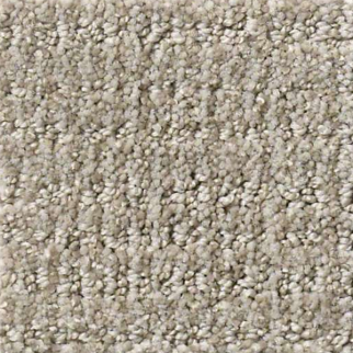 Shaw Floors Sensible Now Silhouette SHAW