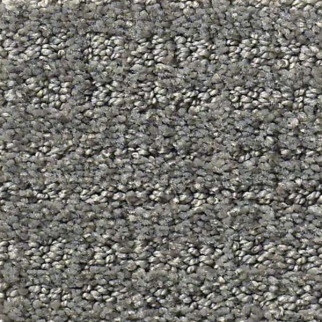 Shaw Floors Sensible Now Metal SHAW