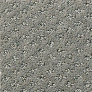 Shaw Floors Infallible Instinct Metal SHAW