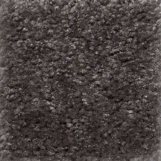 Shaw Floors Zipp Salinas SHAW