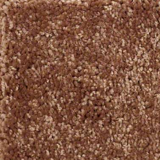 Shaw Floors Well Played I 12 Pottery SHAW