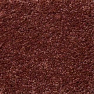 Philadelphia Commercial Everyday Comfort (S) Magic Lantern Shaw