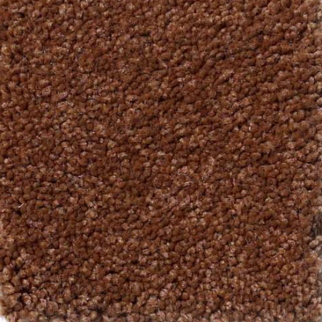 Shaw Floors Magic At Last III 12' Copper SHAW