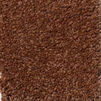 Shaw Floors Magic At Last II 15' Copper SHAW