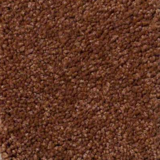 Shaw Floors Ultimate Expressions 12' Dark Amber SHAW