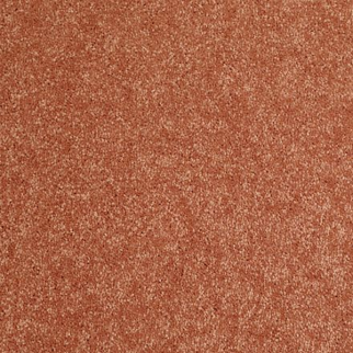 Shaw Floors Dalton 40 12 Sunburst SHAW