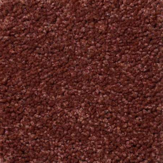 Shaw Floors Magic At Last II 12' Spice SHAW