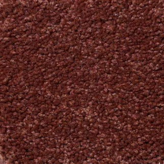 Shaw Floors Magic At Last III 12' Spice SHAW