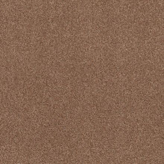 Tuftex Cozy Harbor I Sunbaked SHAW