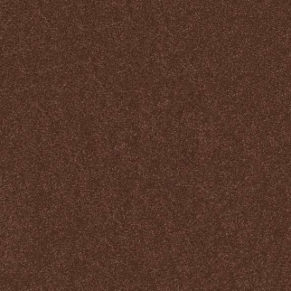 Shaw Floors Hard At Play I 12' Orange Oxide SHAW