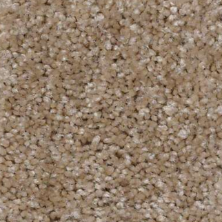 Shaw Floors Jet Set Leather SHAW