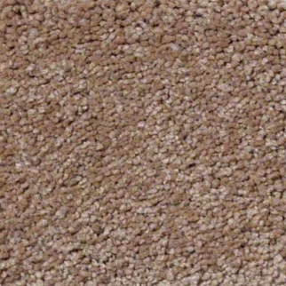 Shaw Floors Sandy Hollow Classic II Muffin SHAW