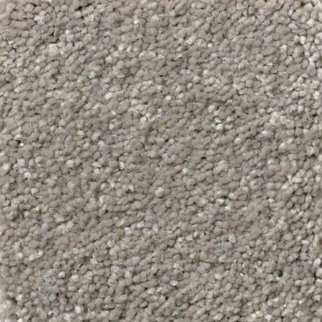 Shaw Floors Solidify II 12 Tree Bark SHAW