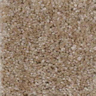 Shaw Floors Instant Winner Tweed SHAW