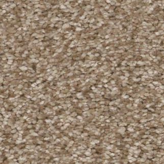 Shaw Floors You Got This III Worn Path SHAW