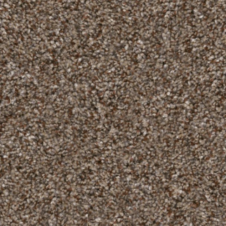 Shaw Floors Yes You Can II 12' Worn Path SHAW