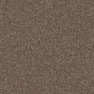 Shaw Floors Yes You Can III 12' Worn Path SHAW