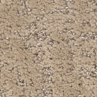 Shaw Floors Home Within Worn Path SHAW