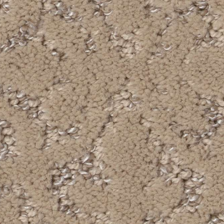 Shaw Floors Light Impressions Worn Path SHAW