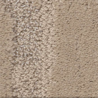 Shaw Floors Tranquil Spirit Worn Path SHAW