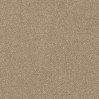 Shaw Floors Hard At Play I 12' Worn Path SHAW