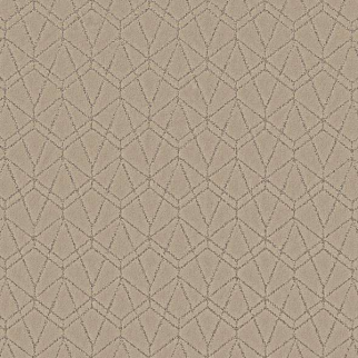 Shaw Floors Point Of View Worn Path SHAW