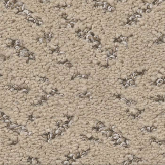 Shaw Floors Elaborate Artifact Worn Path SHAW