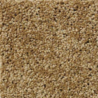 Shaw Floors Enduring Comfort III Country Wheat SHAW