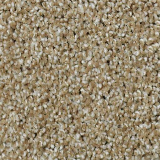 Shaw Floors Picturesque Natural Wood SHAW