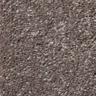 Shaw Floors Solidify II 12 Pewter SHAW