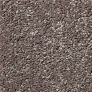 Shaw Floors Solidify I 12 Pewter SHAW