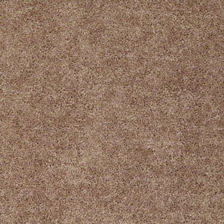 Shaw Floors Briceville Classic 12' Rio Grande SHAW