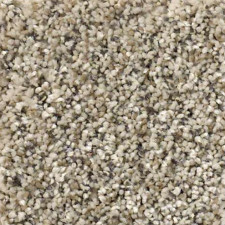 Shaw Floors All Set II River Rock SHAW