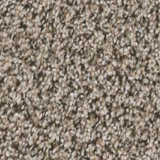 Shaw Floors True Spirit 13 Truffle SHAW