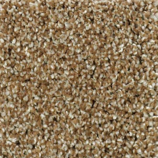 Shaw Floors Picturesque Leather Bond SHAW