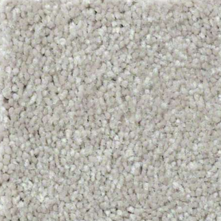 Shaw Floors Well Played I 12 Mocha Frost SHAW