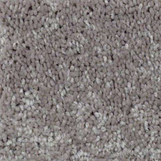 Shaw Floors Well Played II 12 Mocha Frost SHAW