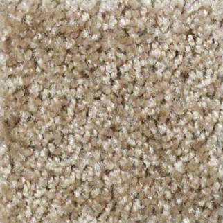 Shaw Floors Play Hard Mocha Froth SHAW