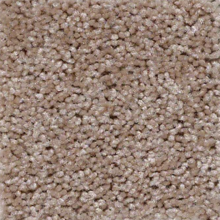 Shaw Floors Instant Winner River's Edge SHAW