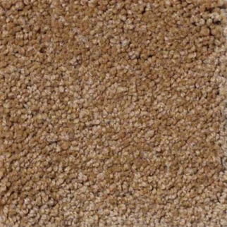 Shaw Floors Magic At Last I 15' Toast SHAW