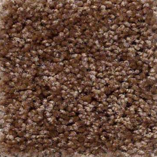 Shaw Floors Big Event Plus Barn Owl SHAW