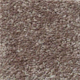 Shaw Floors Well Played I 12 Briar Patch SHAW