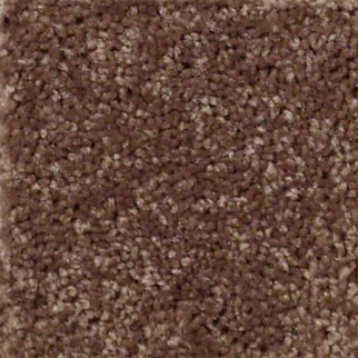 Shaw Floors Well Played II 12 Briar Patch SHAW