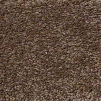 Shaw Floors Ultimate Expressions 12' Pine Cone SHAW